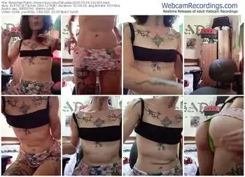 stripchat-succubustatuada-03-24-2025-14-10-03