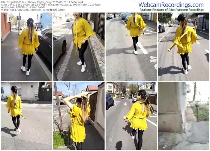stripchat-eryka_grey-03-25-2025-11-24-24