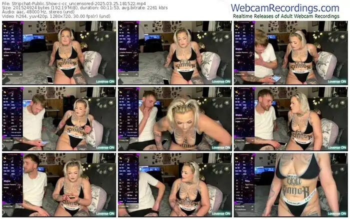 stripchat-cc_uncensored-03-25-2025-18-15-22