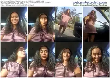 stripchat-cinnaminnie-03-25-2025-12-29-01