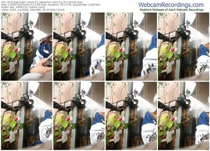 stripchat-k_lebannon-03-25-2025-19-50-20