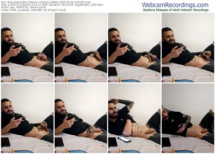 stripchat-charlye_inkkkk-03-25-2025-00-32-32