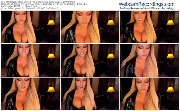 stripchat-the_seductress-03-25-2025-11-00-48