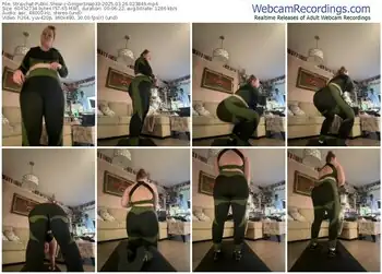 stripchat-gingersnap33-03-26-2025-02-38-49