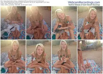 stripchat-sheissomething-03-26-2025-01-03-36