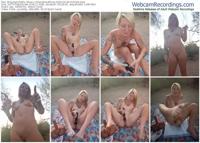 stripchat-sheissomething-03-26-2025-01-50-18