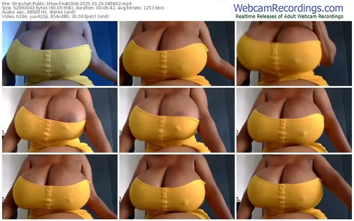 stripchat-katt008-03-26-2025-08-58-02