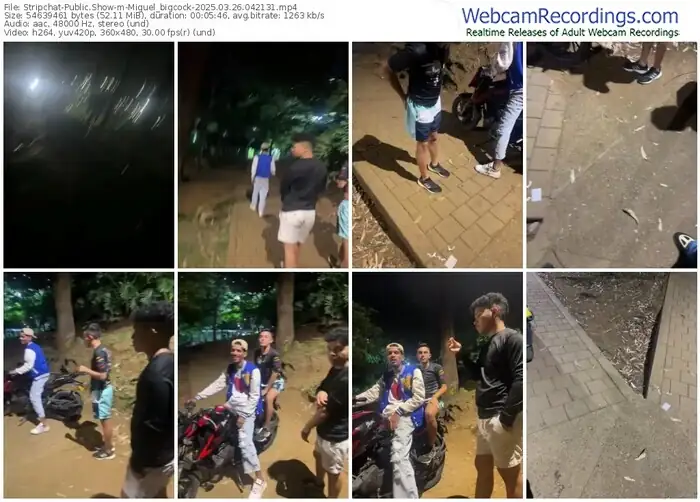stripchat-miguel_bigcock-03-26-2025-04-21-31