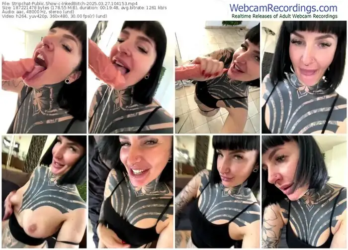 stripchat-inkedbiitch-03-27-2025-10-41-53