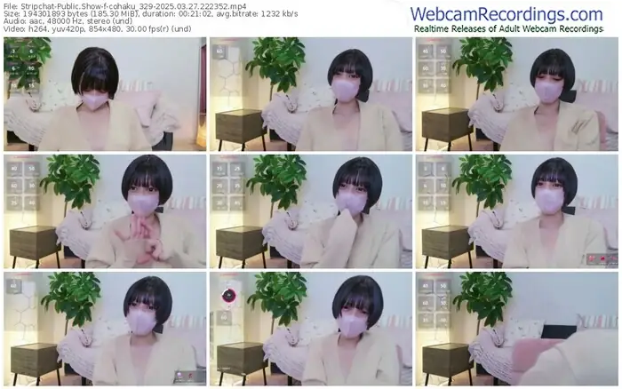 stripchat-cohaku_329-03-27-2025-22-23-52