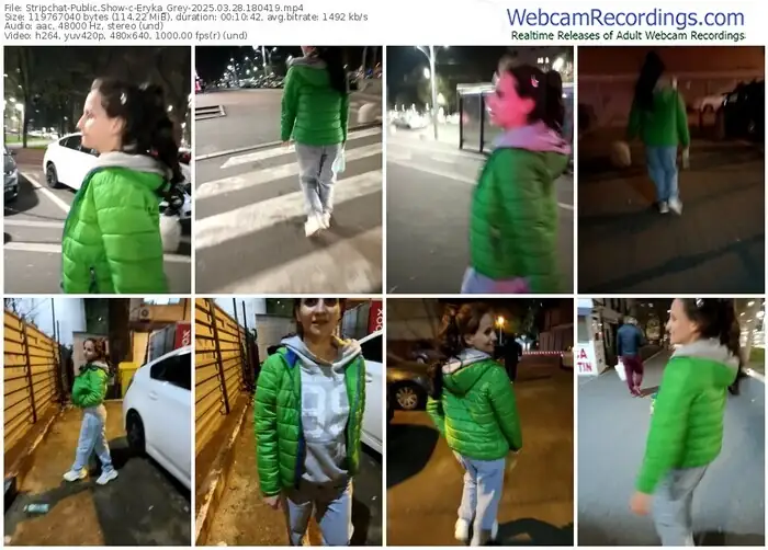 stripchat-eryka_grey-03-28-2025-18-04-19