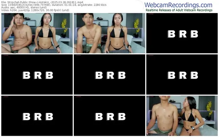 stripchat-hotskin_-03-28-2025-09-18-11