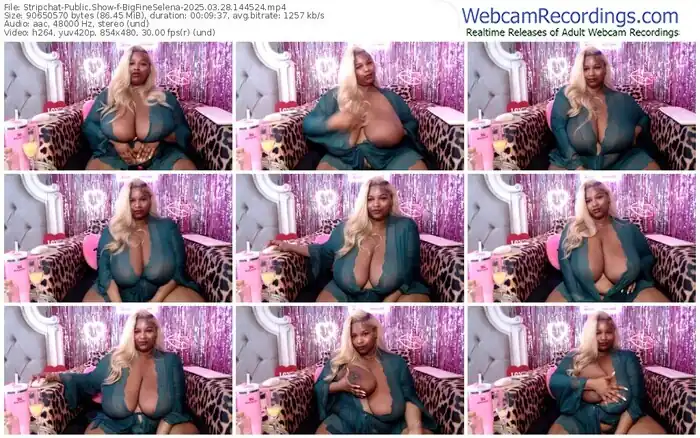 stripchat-bigfineselena-03-28-2025-14-45-24