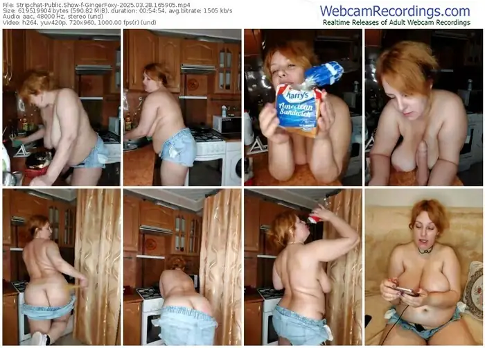stripchat-gingerfoxy-03-28-2025-16-59-05