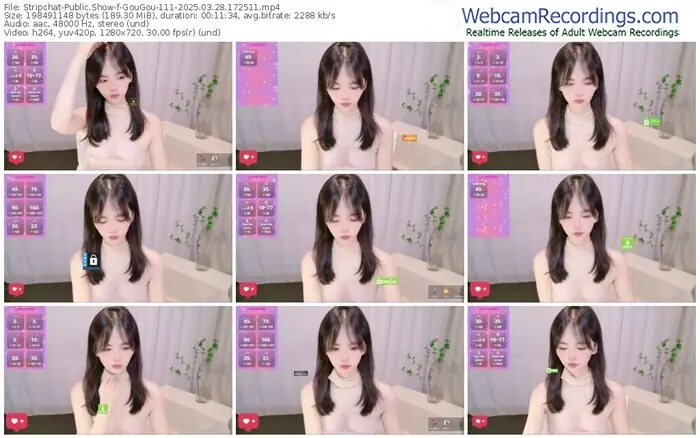 stripchat-gougou-111-03-28-2025-17-25-11