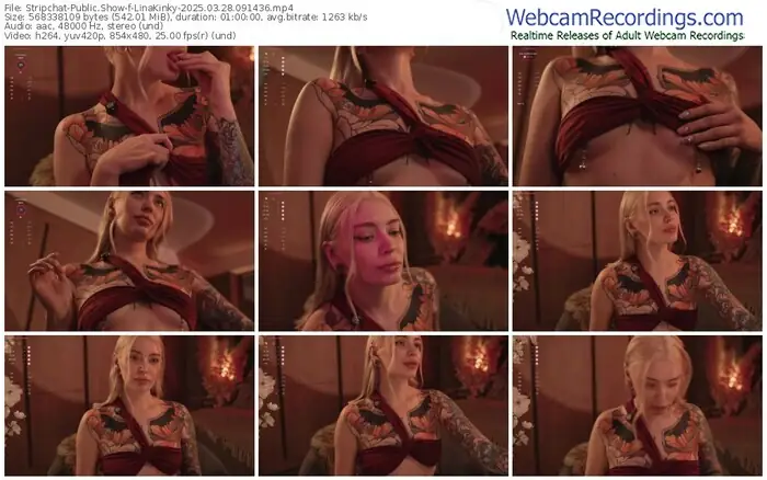 stripchat-linakinky-03-28-2025-09-14-36