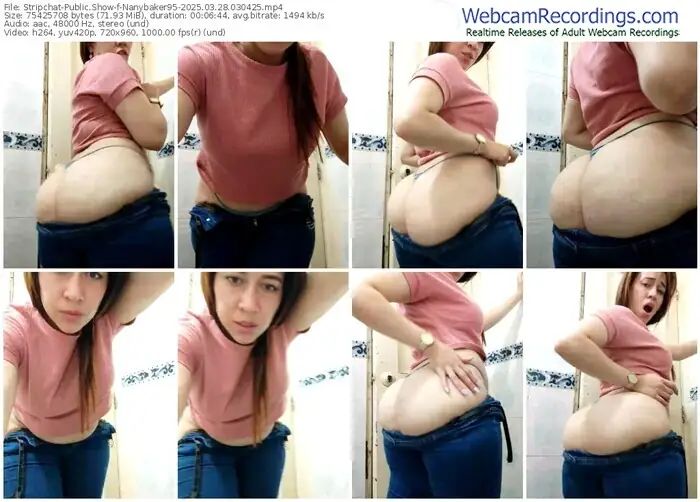 stripchat-nanybaker95-03-28-2025-03-04-25
