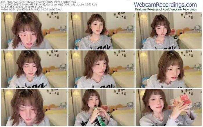 stripchat-onekitty-03-28-2025-16-04-00