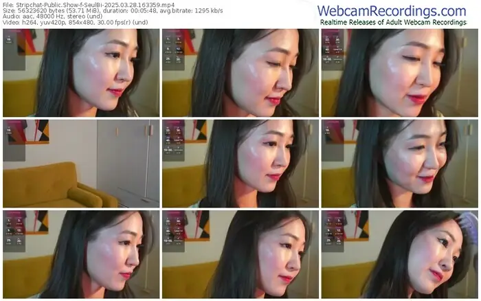 stripchat-seulbi-03-28-2025-16-33-59
