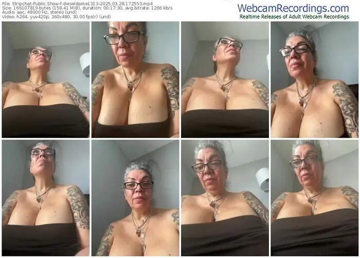 stripchat-dieseldame1313-03-28-2025-17-25-53