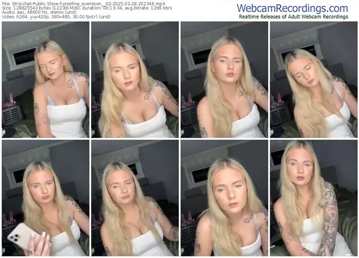 stripchat-josefine_svensson__02-03-28-2025-20-23-46