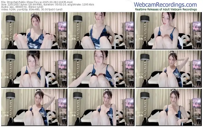 stripchat-lvy-w-03-28-2025-11-04-35