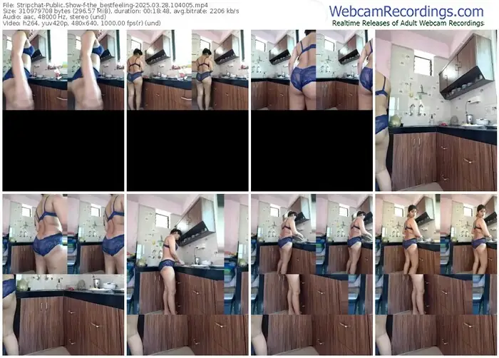 stripchat-the_bestfeeling-03-28-2025-10-40-05