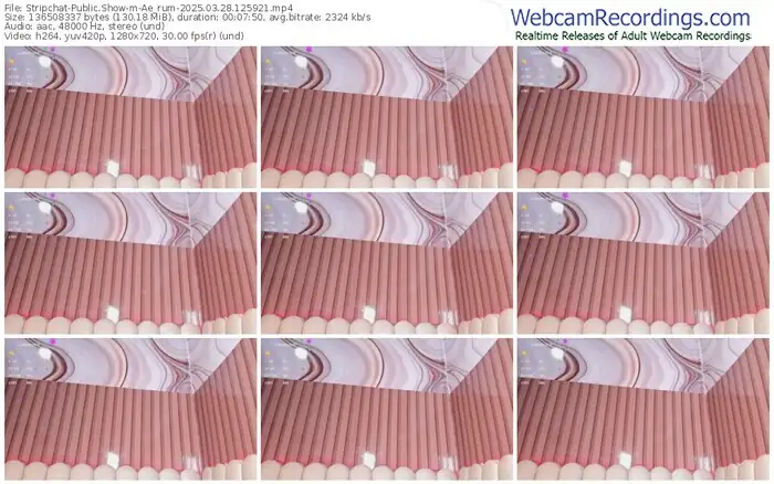 stripchat-ae_rum-03-28-2025-12-59-21