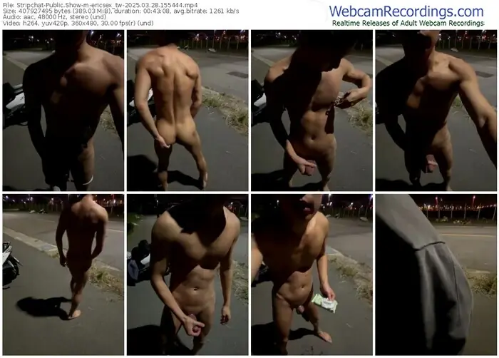 stripchat-ericsex_tw-03-28-2025-15-54-44