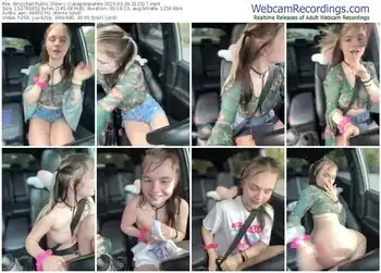 stripchat-cutiepiespanks-03-29-2025-21-25-17