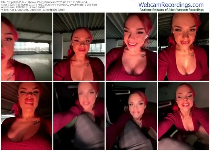 stripchat-pennyprincess-03-29-2025-17-13-08