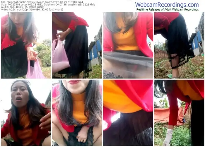 stripchat-sweet_toy20-03-29-2025-01-33-10