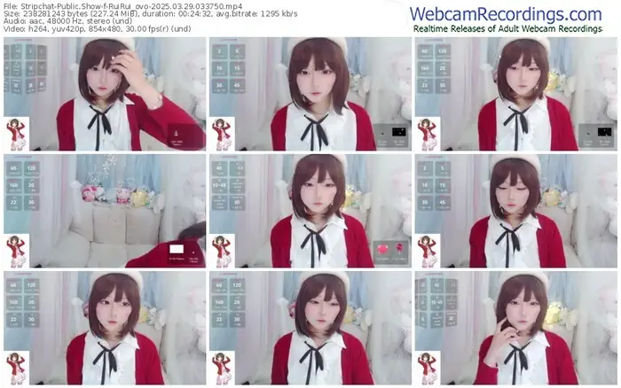 stripchat-ruirui_ovo-03-29-2025-03-37-50