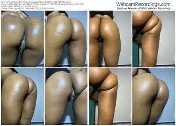 stripchat-incognitobdy-03-29-2025-22-55-54