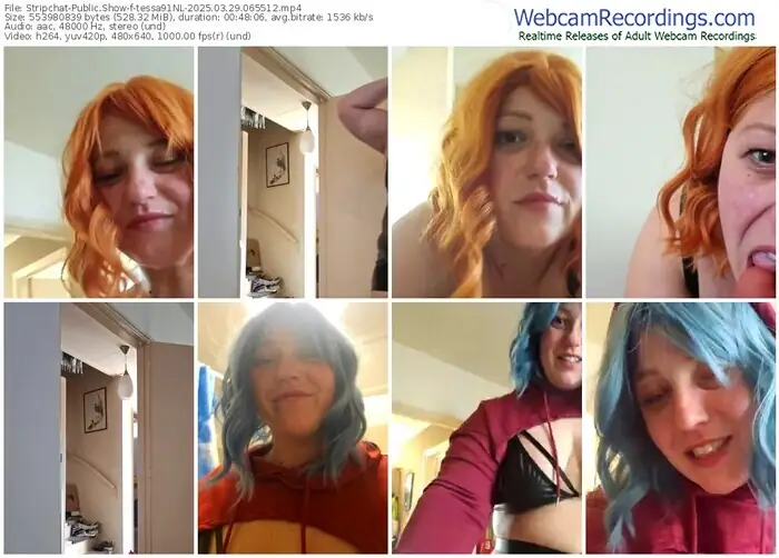 stripchat-tessa91nl-03-29-2025-06-55-12