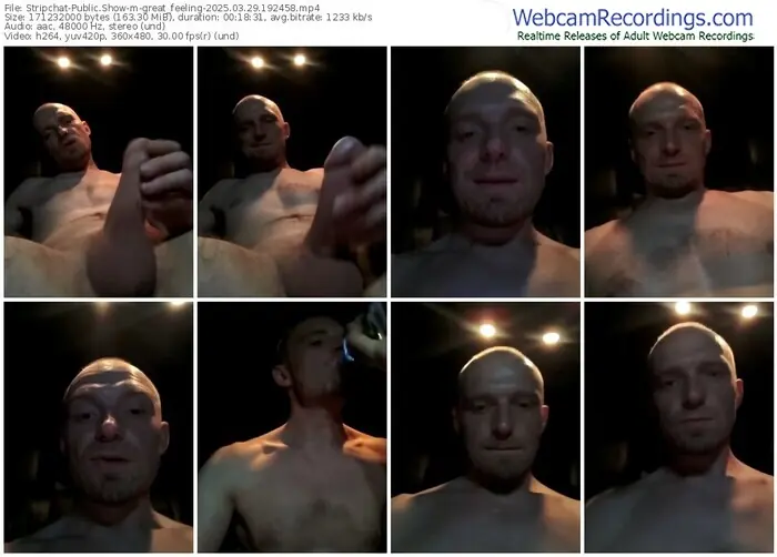 stripchat-great_feeling-03-29-2025-19-24-58