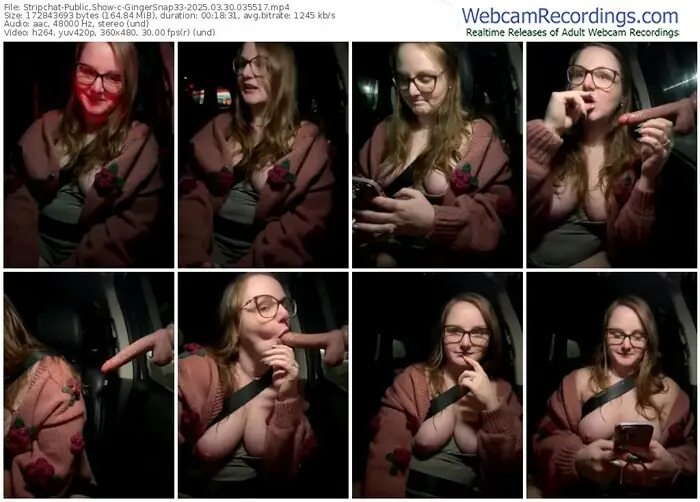 stripchat-gingersnap33-03-30-2025-03-55-17