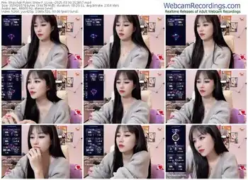 stripchat-_llisa_-03-30-2025-21-28-57