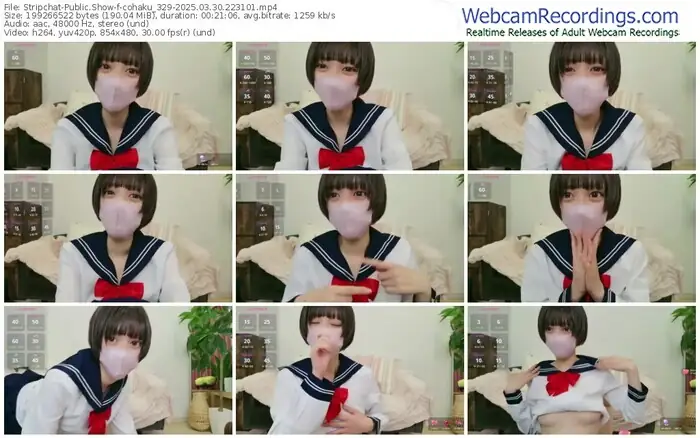 stripchat-cohaku_329-03-30-2025-22-31-01