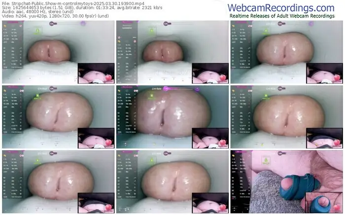 stripchat-controlmytoys-03-30-2025-19-39-00