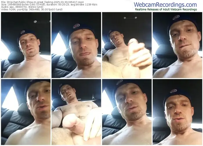 stripchat-great_feeling-03-30-2025-06-54-17