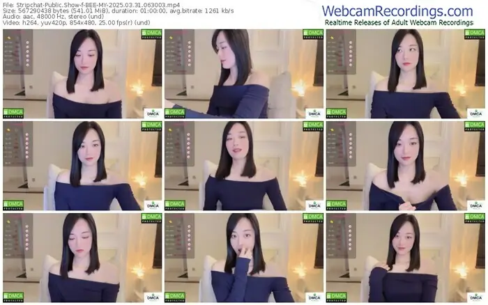 stripchat-bee-my-03-31-2025-06-30-03