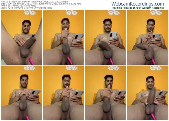 stripchat-palyboy426-03-31-2025-23-23-25