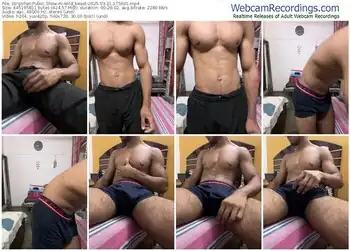 stripchat-wild_beast-03-31-2025-17-59-01