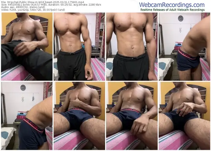 stripchat-wild_beast-03-31-2025-17-59-01