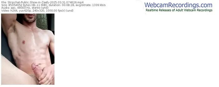 stripchat-zeefy-03-31-2025-07-46-26