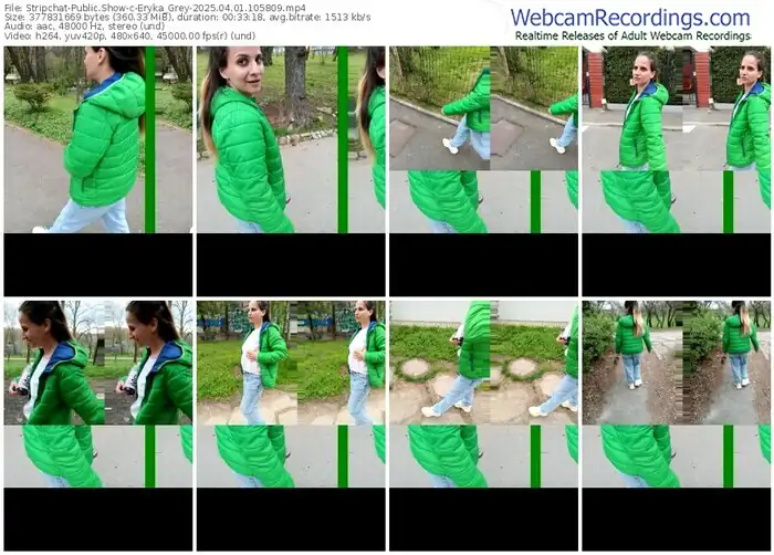 stripchat-eryka_grey-04-01-2025-10-58-09