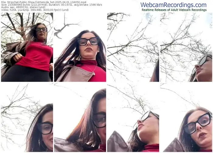 stripchat-artemida_hot-04-01-2025-10-40-50