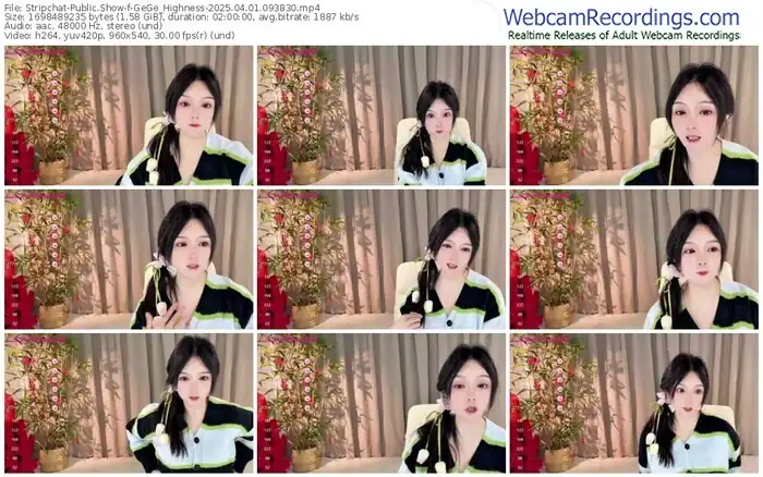 stripchat-gege_highness-04-01-2025-09-38-30