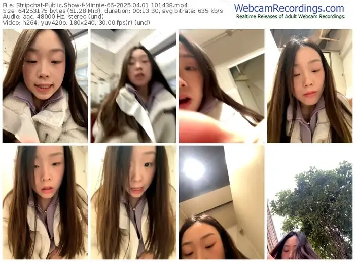 stripchat-minnie-66-04-01-2025-10-14-38